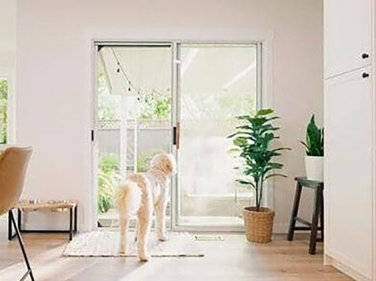 Un chien debout devant une porte vitrée coulissante avec système de moustiquaire mesh lock, montrant une moustiquaire résistante aux animaux tout en préservant la vue sur l'extérieur