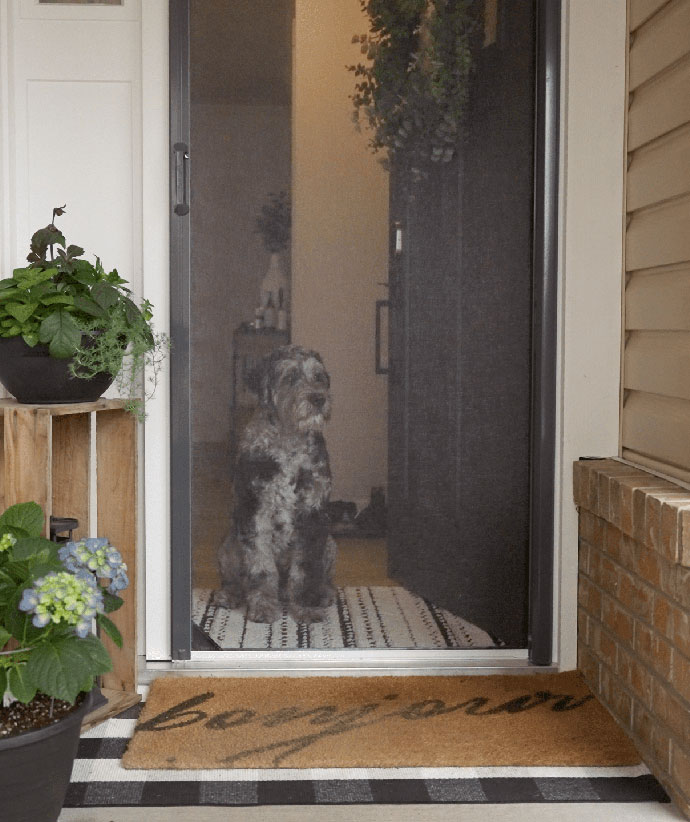 Chien assis en sécurité derrière une moustiquaire de porte avec mesh lock