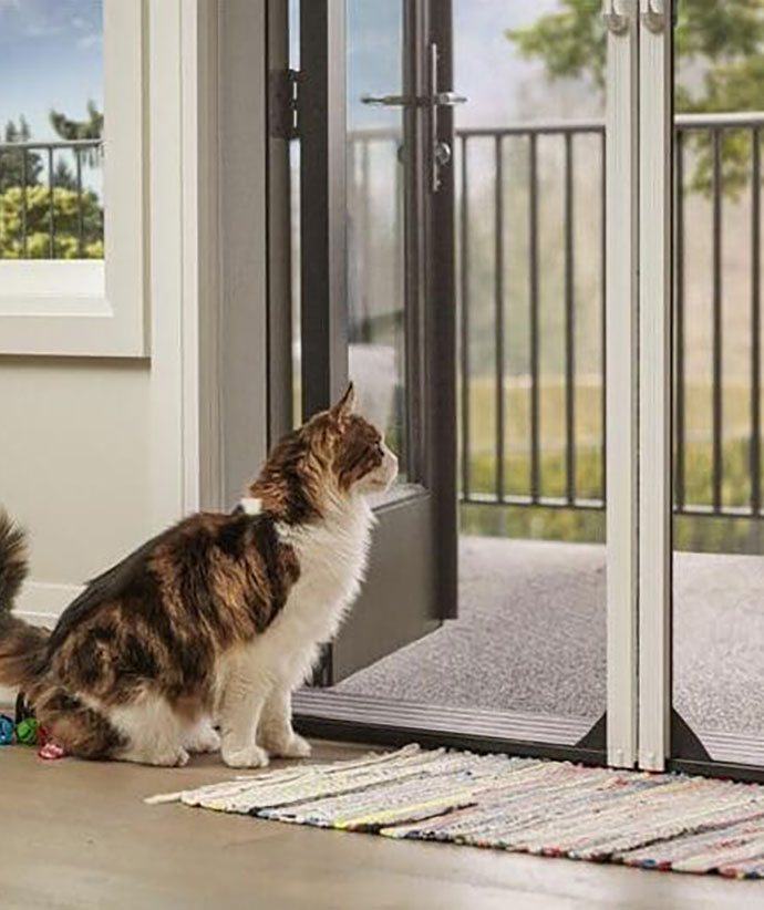 Chat assis tranquillement près d'une moustiquaire de porte rétractable durable