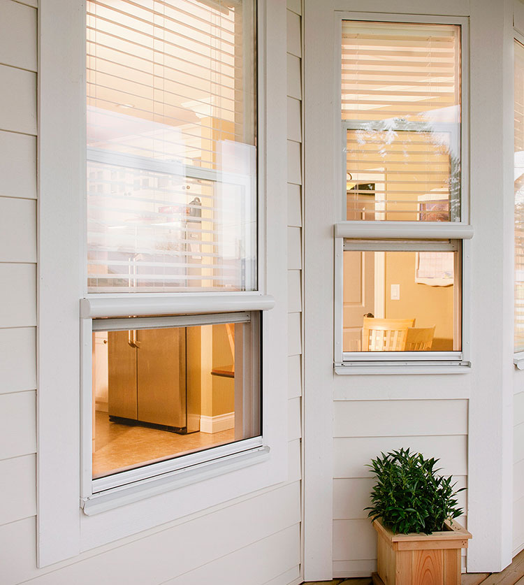 Extérieur de maison moderne blanche avec moustiquaires de fenêtre rétractables, éclairage intérieur chaleureux et jardinières décoratives sur le porche