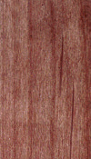 Placage de bois aulne